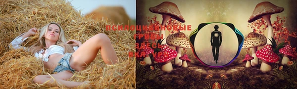 винт Гусь-Хрустальный