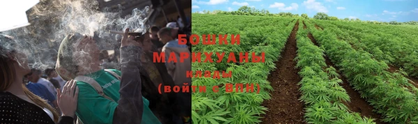 винт Гусь-Хрустальный