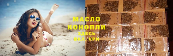 молекула духа Гусев