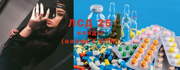 молекула духа Гусев