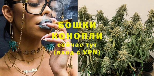 винт Гусь-Хрустальный